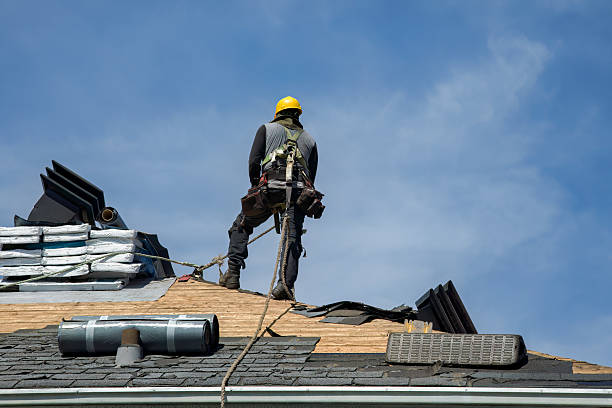 Professional Roof Repair technician working in Highland Park, NJ